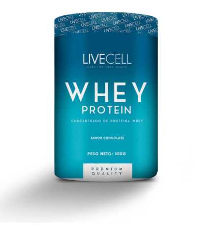 WHEY PROTEIN concentrado chocolate 300 gr