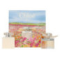 CHLOE SIGNATURE LOT 2 produits