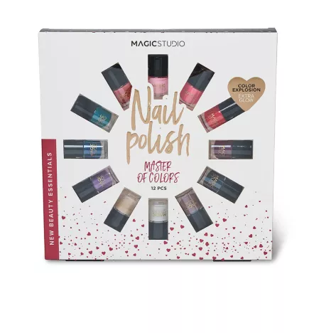 MASTER OF COLORS coffret 12 pz