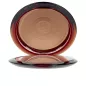 TERRACOTTA MATTE poudre bronzante Ref light