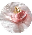 Eau de Toilette Femme